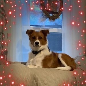 Meet your Posher, Joann